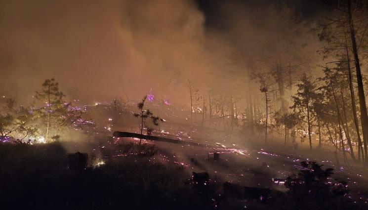 ПОЖАР - СЛЕД ЕВАКУАЦИЯТА: Спасиха къщите на хората в село Плоски!