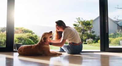 куче човек обич