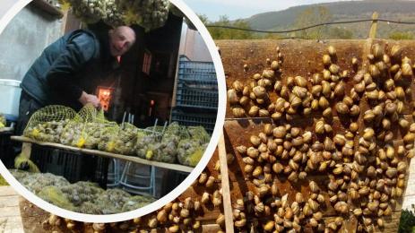 Калин Димитров охлюви