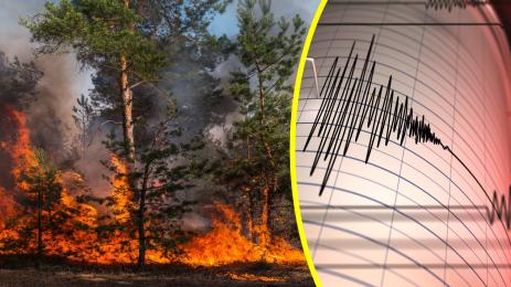 Пожар и земетресение