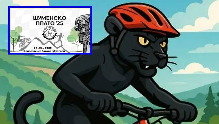 черна пантера - Черната пантера отложи състезание