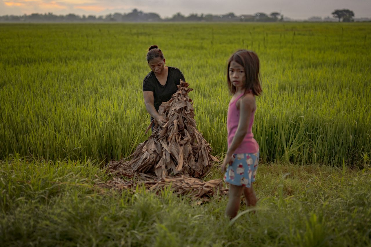 <p>Вижте впечатляващи кадри от фестивала Taong Putik в Алиага, Филипините, където стотици участници се преобразяват, покривайки телата си с кал, треви и листа в знак на смирение и духовна отдаденост. Снимките улавят едновременно мистиката, емоцията и суровата красота на едно от най-необичайните религиозни шествия в света. От мълчаливите фигури, които се движат бавно към храма, до контрастния празничен край &ndash; това е история, разказана в кал, светлина и вяра.</p>