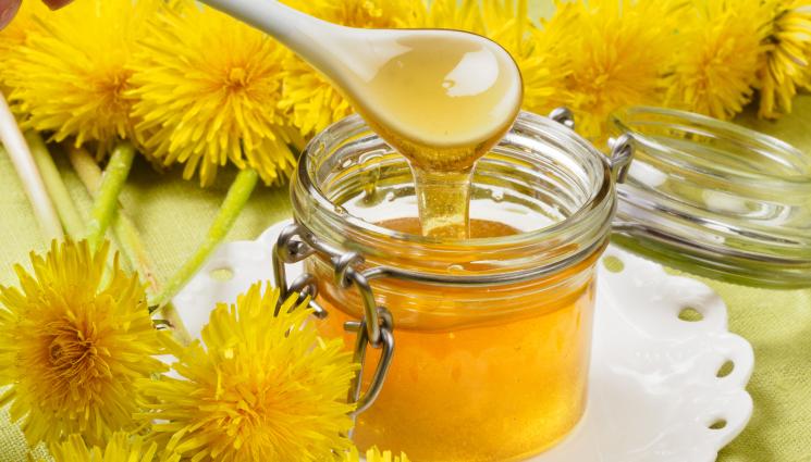 мед - ПРАКТИЧНИ СЪВЕТИ: Мед от глухарче вдига имунитета