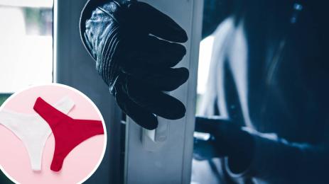 крадец бельо