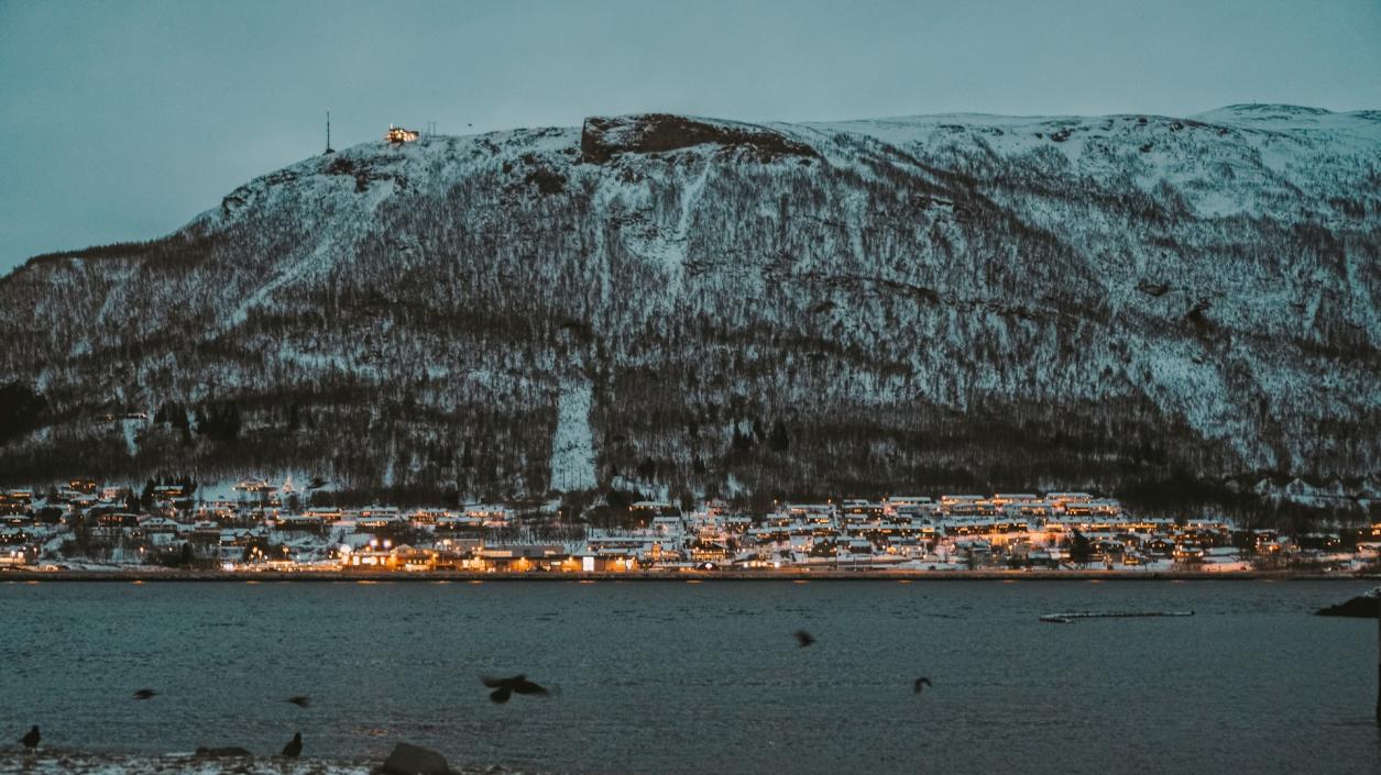 Как арктическите общности спят спокойно в пълна тъмнина