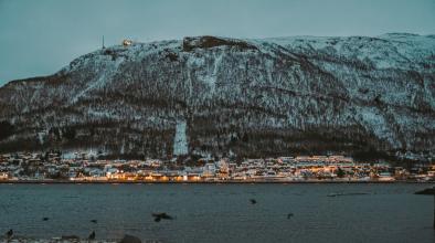 полярна нощ