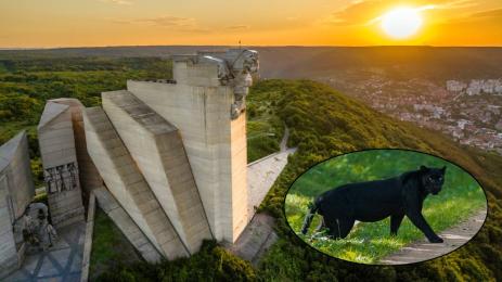 Шуменското плато