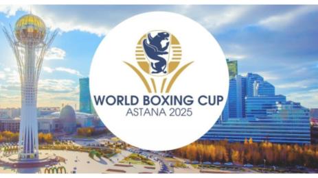 Световна купа по бокс астана