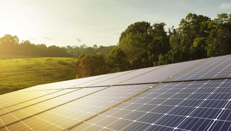 соларни панели - Правят дружества със соларите за евтин ток