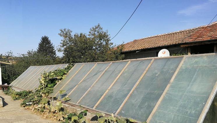 парник - Агро Телеграф: Сбогом на въшките в градината с йод и оцет!