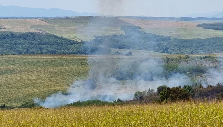 пожар - ОГНЕН АД КРАЙ ЦАР ПЕТРОВО: 200 декара пшеница в пепел!