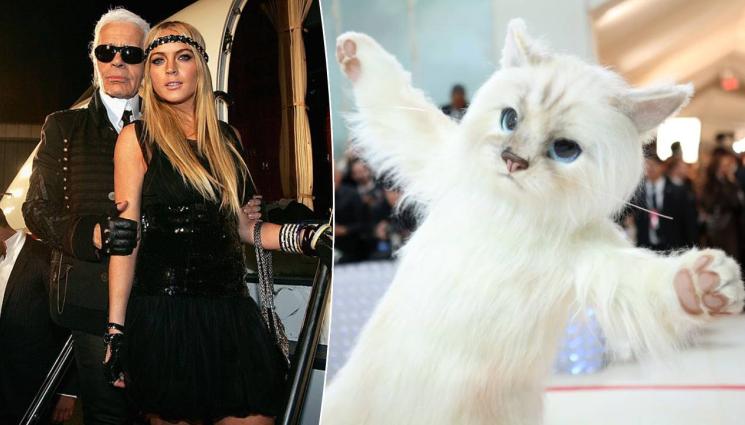 Карл Лагерфелд - Филмов дебют за най-известната котка в света (СНИМКИ)