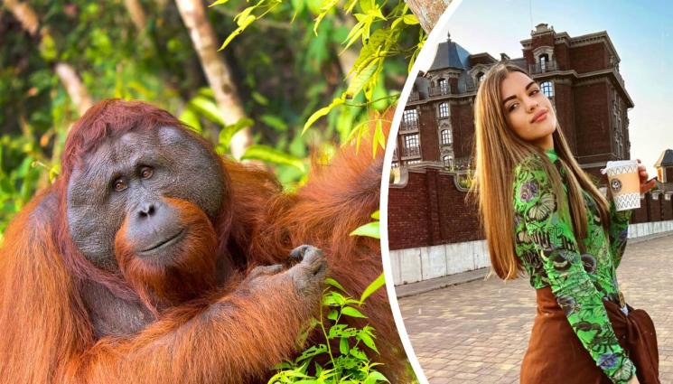 Анастасия Лучкина - Боксьорка натрови орангутан с вейп