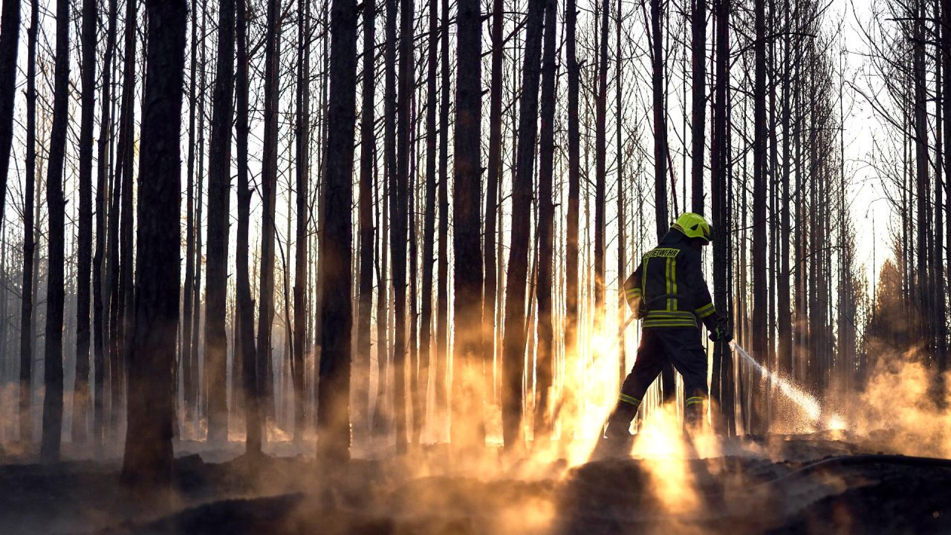 Горски пожар край бивш военен полигон в югоизточната германска провинция
