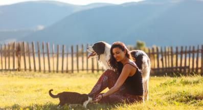 куче и котка