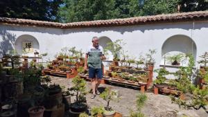 Бонсай градина ще бъде достъпна за посещения след няколко седмици