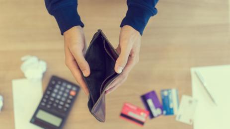 портфейл безпаричие