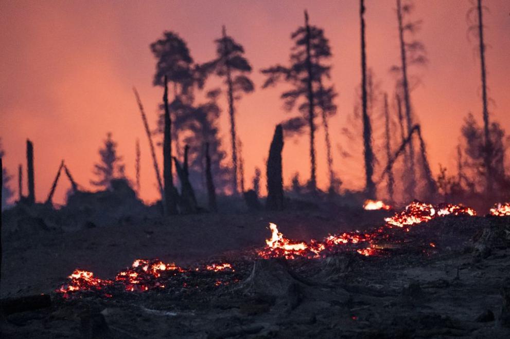  Пожари Германия 