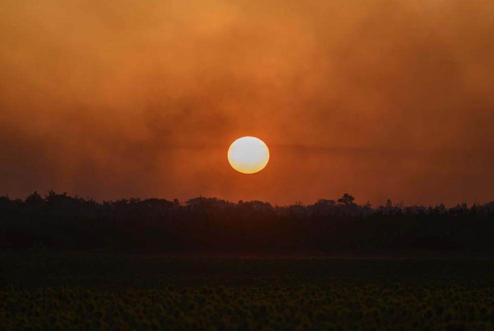  Пожари Германия 