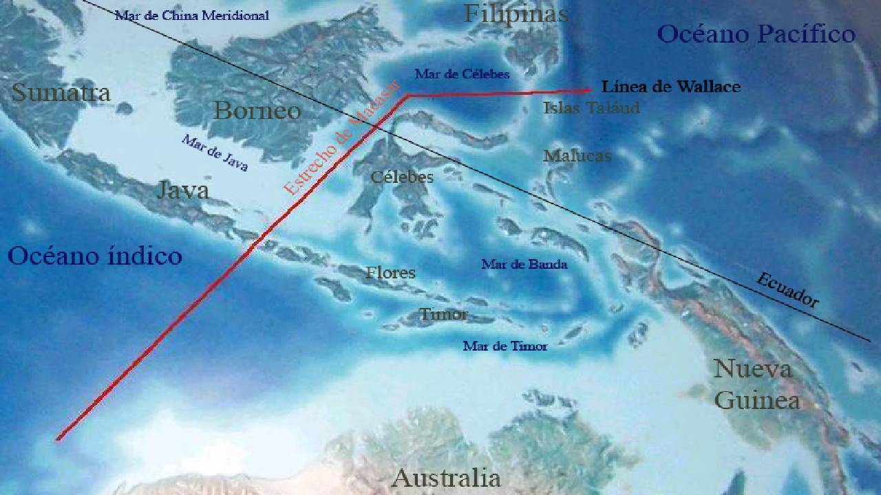 Линията на Уолъс