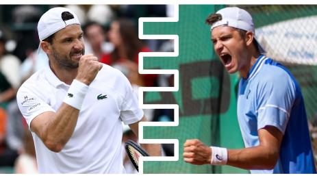 Григор Димитров Александър Василев