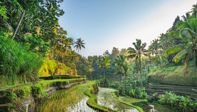 Бали - АД НА БАЛИ: Вулкан изхвърли пепел на 18 км!
