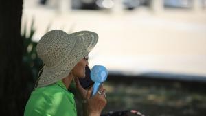 Максимална температура от 40 5 градуса на сянка бе измерена към