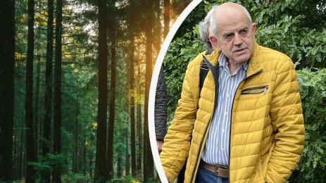 Георги Костов