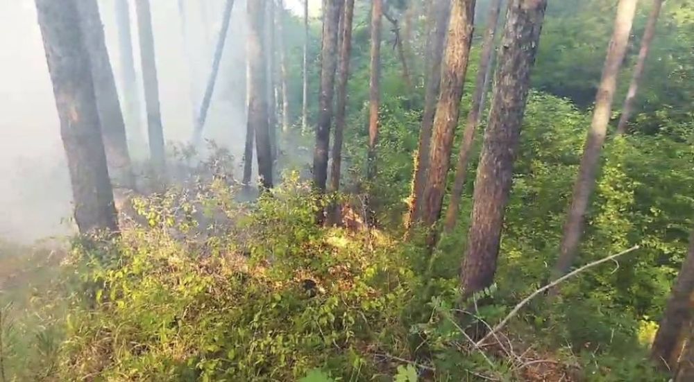 пожар Дупница