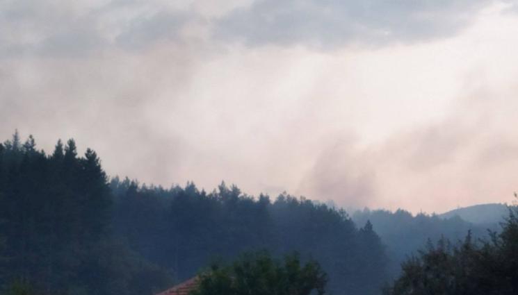 пожар Дупница - Пламна гора край Дупница! (СНИМКА)