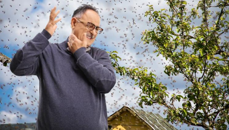 пчели - НЕОБИЧАЙНА АТАКА: Зли пчели раниха 24 души! 