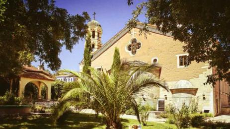 Дървото на Юда