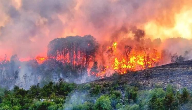 Арбанаси гори - ОГНЕНАТА СТИХИЯ ПОГЛЪЩА ВСИЧКО: Пожарът в Арбанаси става страшен, военни хеликоптери на помощ!