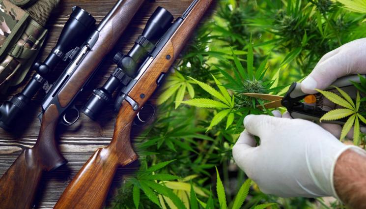 д - Дрога и незаконен арсенал откриха в Тетевен