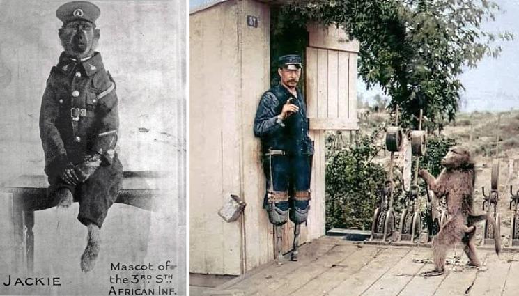 Бабуин - ДОКАЗАТЕЛСТВА ЗА ПРОИЗХОДА НА ЧОВЕКА: Бабуин става стрелочник на жп гара в Кейптаун!