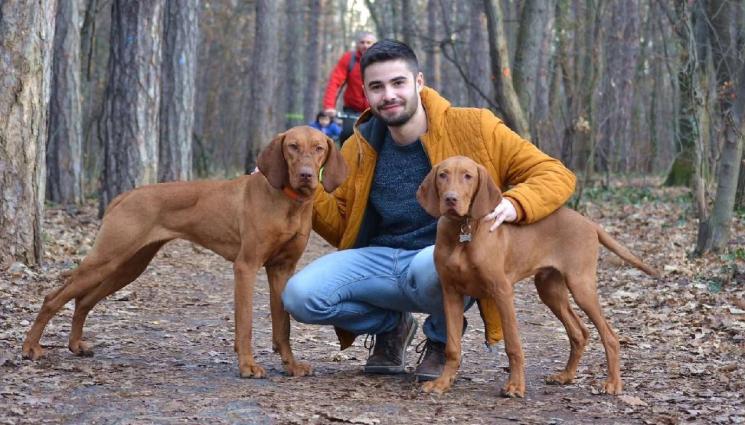 визла - ДА СЕ ЗАПОЗНАЕМ С ПОРОДАТА: Унгарската визла – елегантна и предана