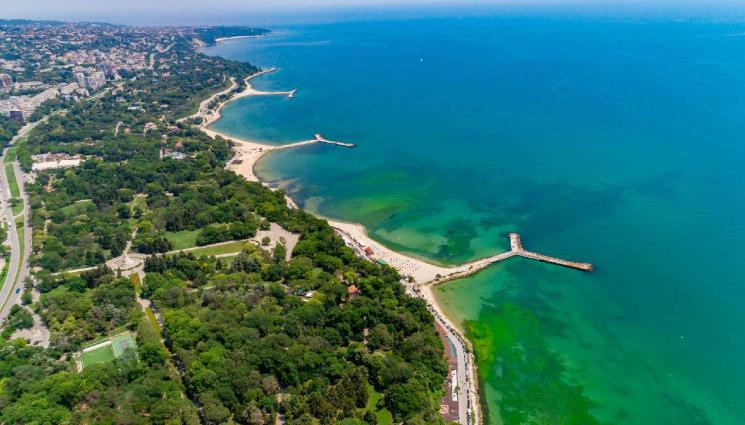 Варна - Огромен клон падна върху мъж на плаж във Варна