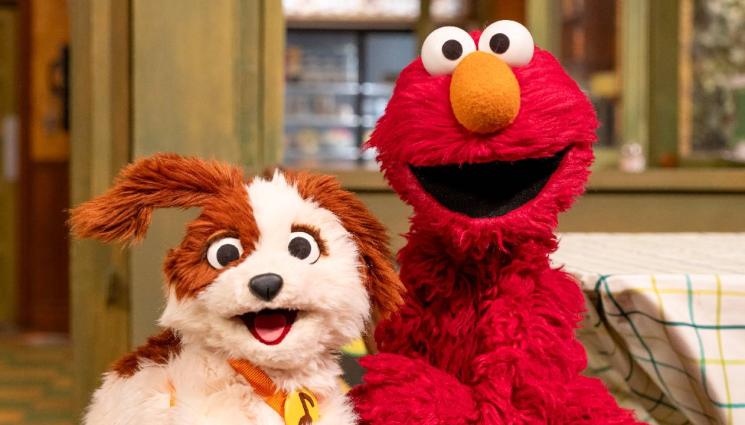 Елмо Улица Сезам - СЛЕД ХАКЕРСКА АТАКА: Елмо от “Улица Сезам” публикува антисемитски постове в X (СНИМКИ)