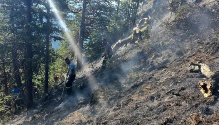 пожар - Осигуряват около 2000 лв. помощ за пострадалите от пожарите