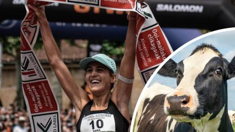 Сара Алонсо