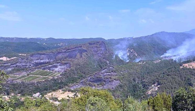 пожарСандански - Пожар „захапа“ 500 дка гори над санданско село!