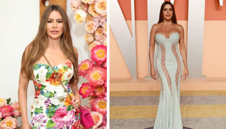 софия вергара - КАКВО СЕ СЛУЧВА? София Вергара в Спешното, вместо на