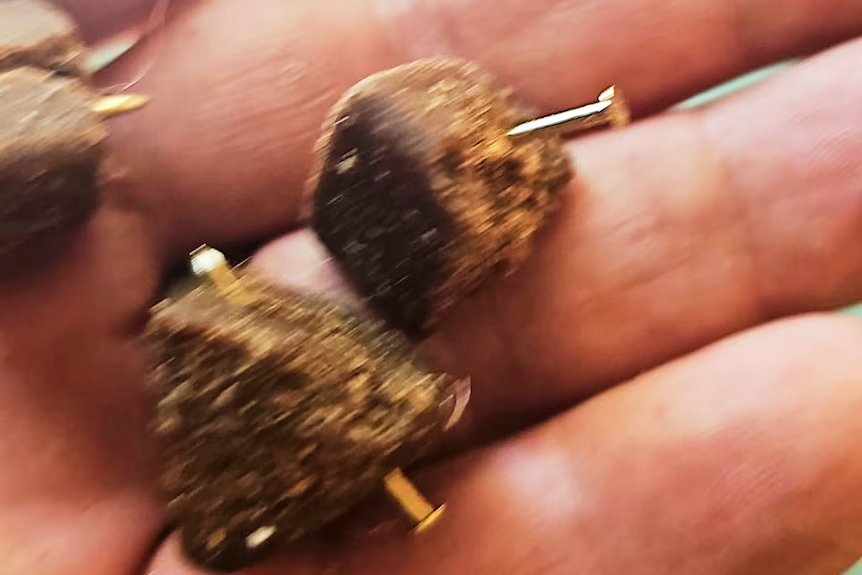 наденица пирони