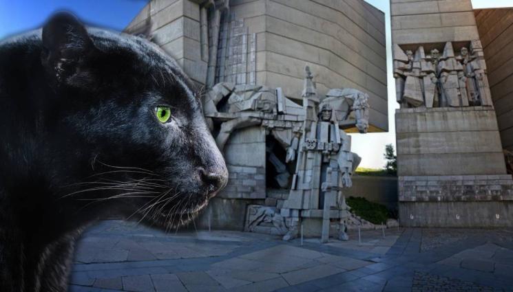 черен леопард - Черният леопард се качи върху паметника „Създатели на българската държава“ (СНИМКА)