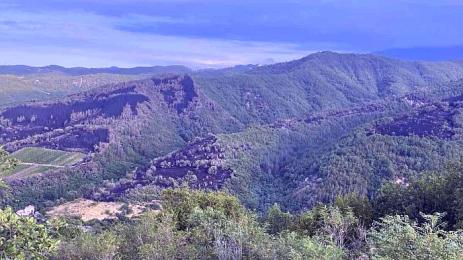 Горно Спанчево