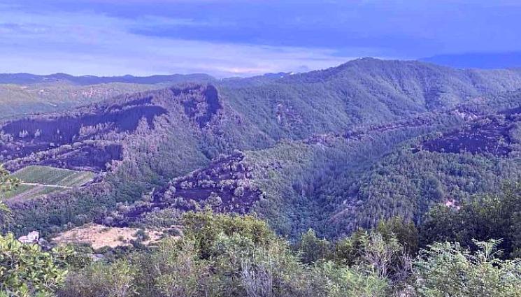 Горно Спанчево - Дъжд помогна в битката с пожара над Горно Спанчево!