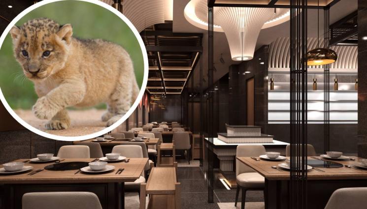 ресторанът - ВЕЧЕРЯ С ПРОГРАМА: Ресторант предлага гушкане на лъвчета в менюто си! (СНИМКА)