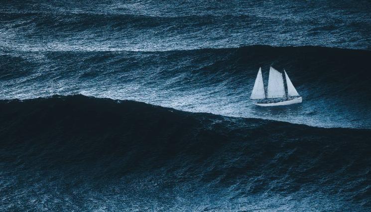 d - ТРАГЕДИЯ ВЪВ ВИЕТНАМ: Буря потопи туристическо корабче, десетки се удавиха (ВИДЕО)