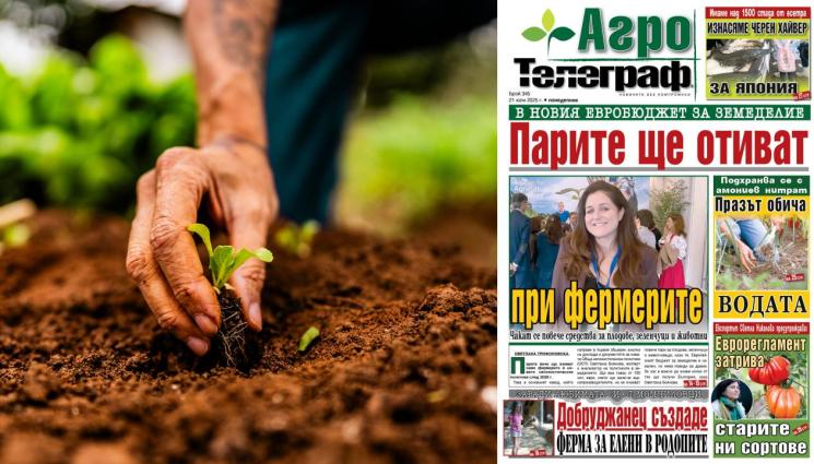 d - Ето какво ще откриете в новия брой на приложението 