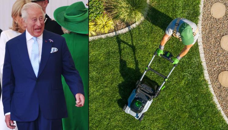 д - Крал Чарлз Трети сам трябва да си прекопава градините